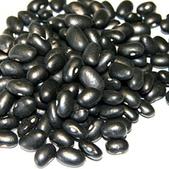 BULK BEANS: Black Bean Turtle, 25 lb