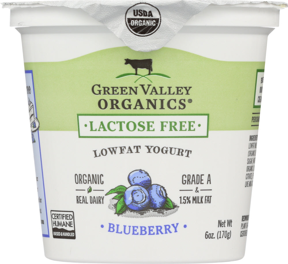 GREEN VALLEY ORGANICS: Yogurt Low Fat Lactose Free Blueberry, 6 oz