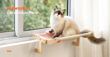 Large Cat Window Perch