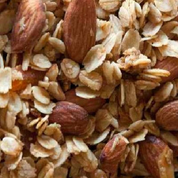 NEW ENGLAND NATURAL: Granola Unsweetened Cinnamon Almond Organic, 25 lb