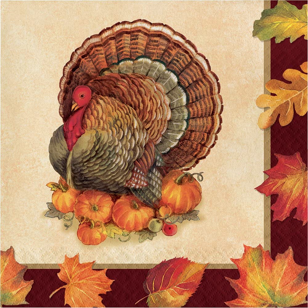 CREATIVE CONVERTING: Napkin Turkey Traditnl Lg, 16 ea