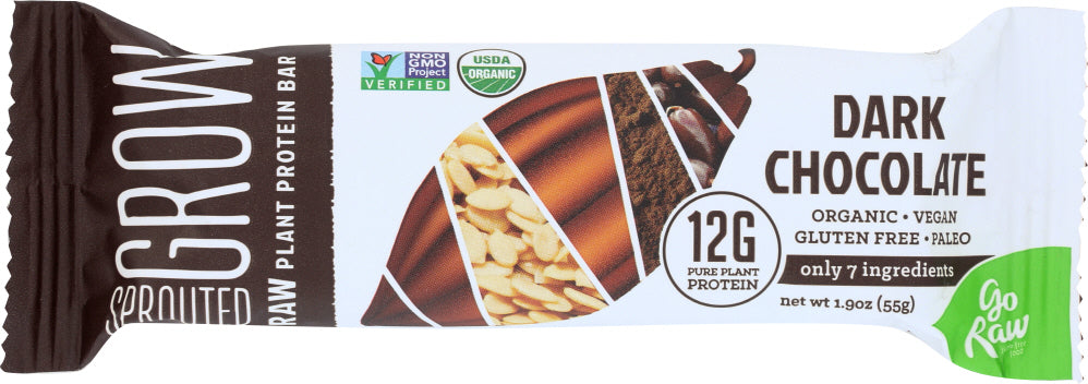 GO RAW: Dark Chocolate Protein Bar Organic, 1.9 oz