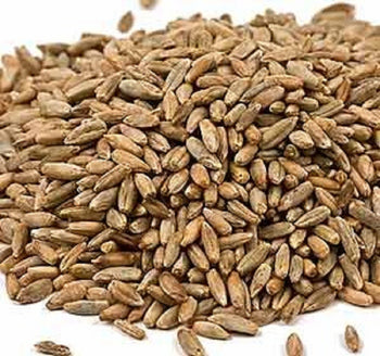 BULK GRAINS: Grain Organic Rye Berries, 25 lb