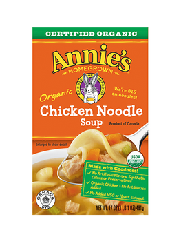 ANNIES HOMEGROWN: Soup Chicken Noodle Organic, 14 oz