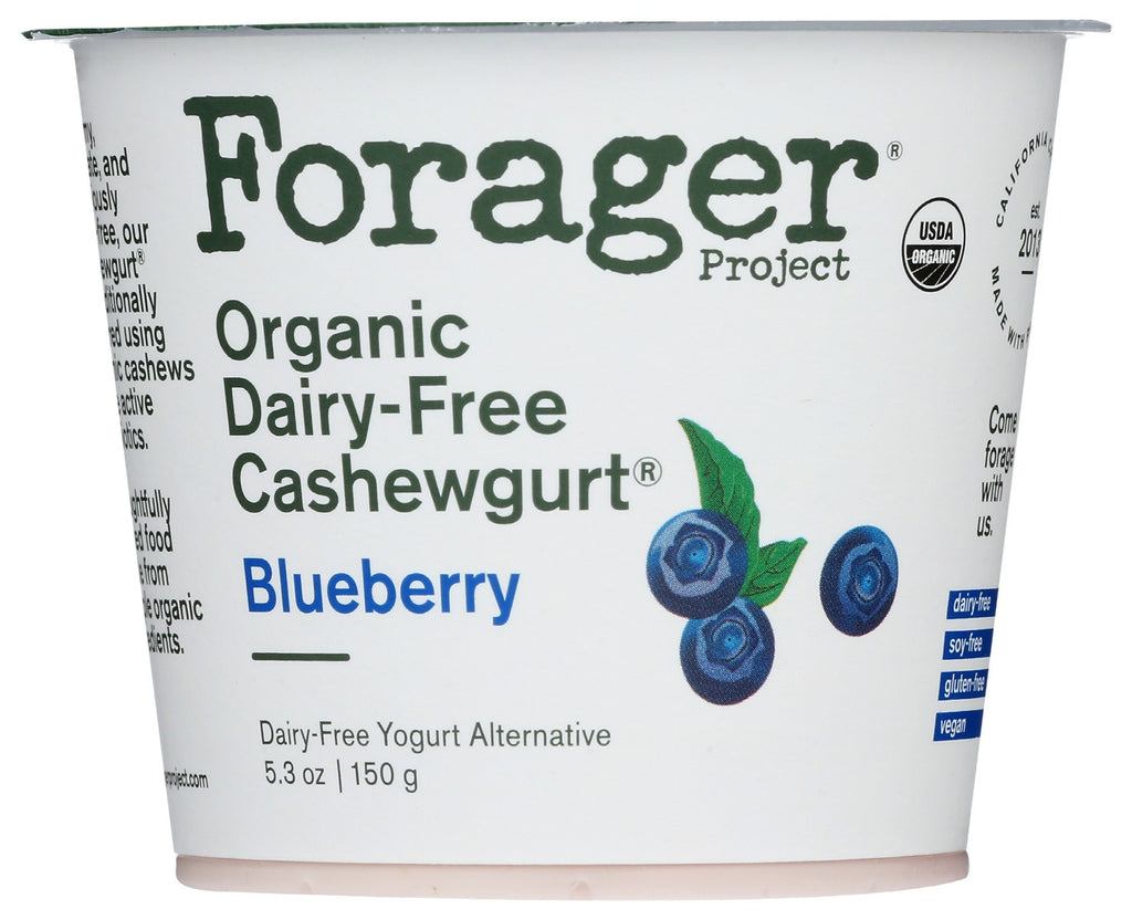 FORAGER: Blueberry Organic Cashewgurt, 5.30 oz