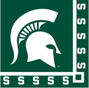 CREATIVE CONVERTING: Michigan State Beverage Napkin, 20 ea