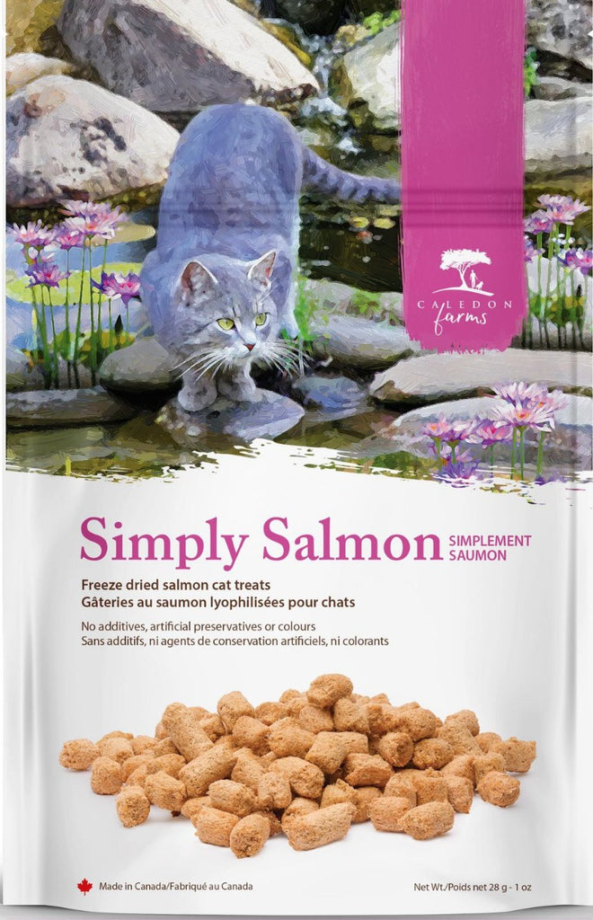 CALEDON FARMS: Simply Salmon Cat Treats, 1 oz